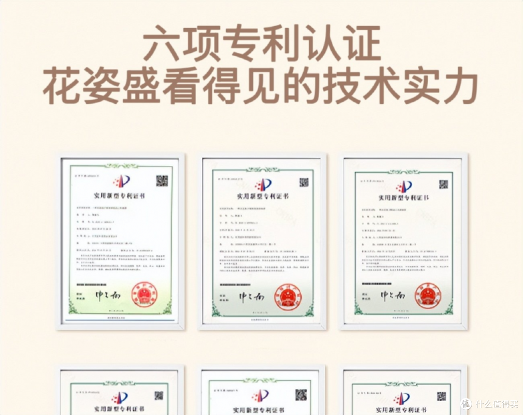 陈皮泡水哪个牌子好?2026陈皮冲泡方法论与溶出效率实测指南