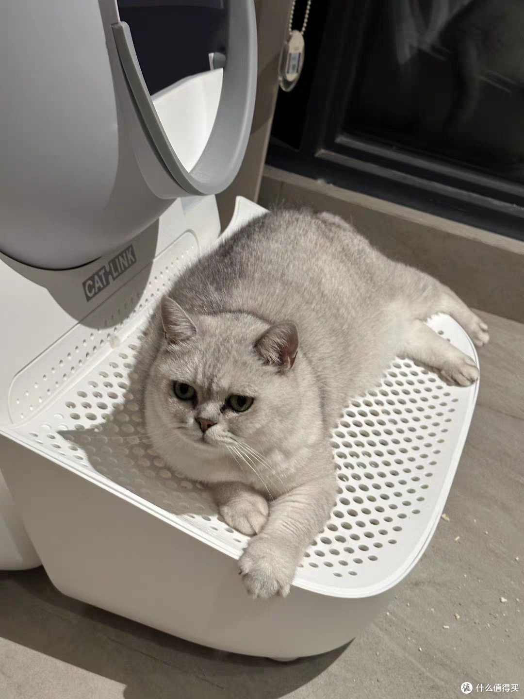教猫用智能猫砂盆，差点把我整崩溃了——定点上厕所没那么简单