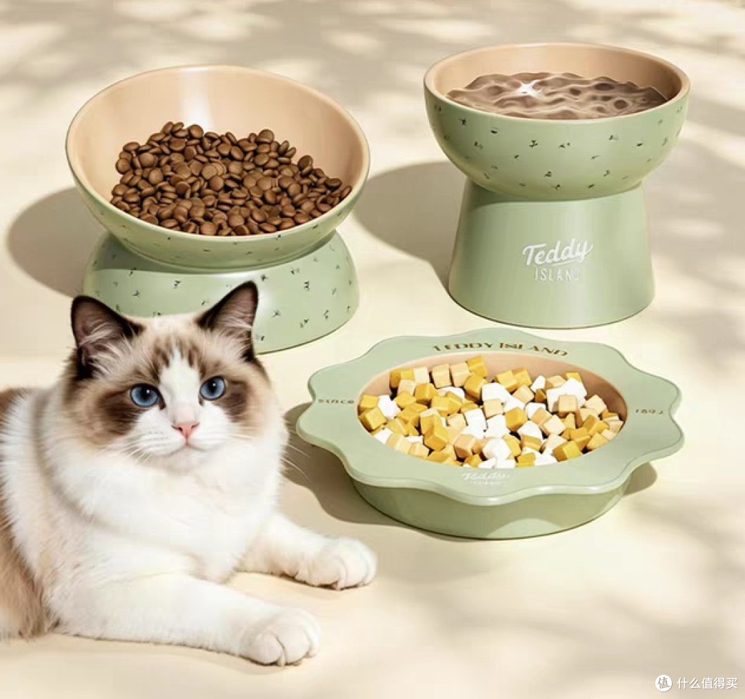 猫咪专属餐具|告别黑下巴护颈椎!我的精细化养猫必修课