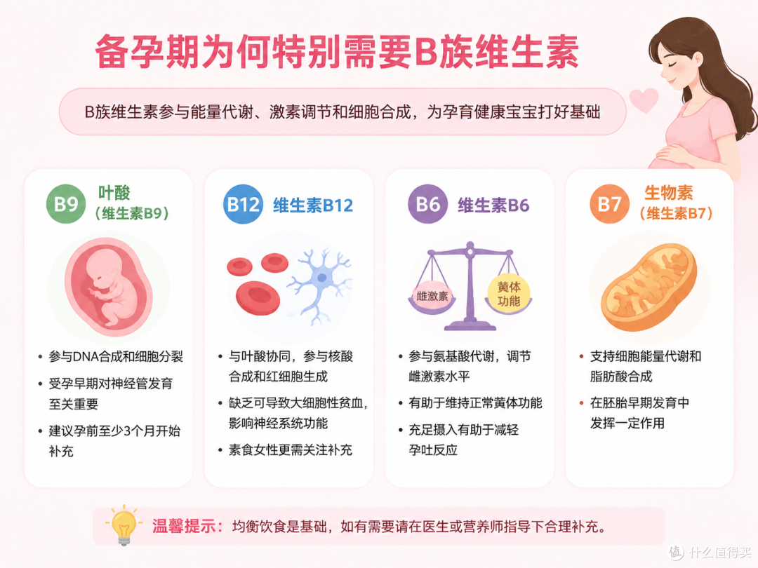 备孕期为什么要补充维生素b?