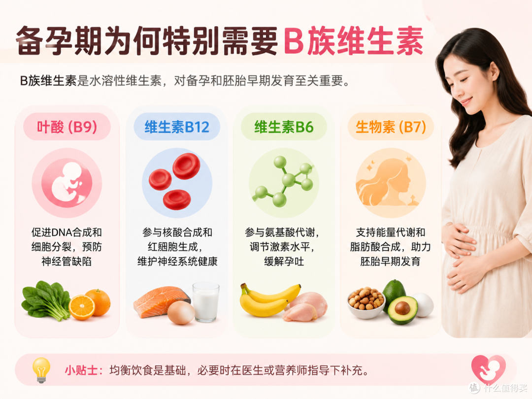 备孕期为什么要补充维生素b?