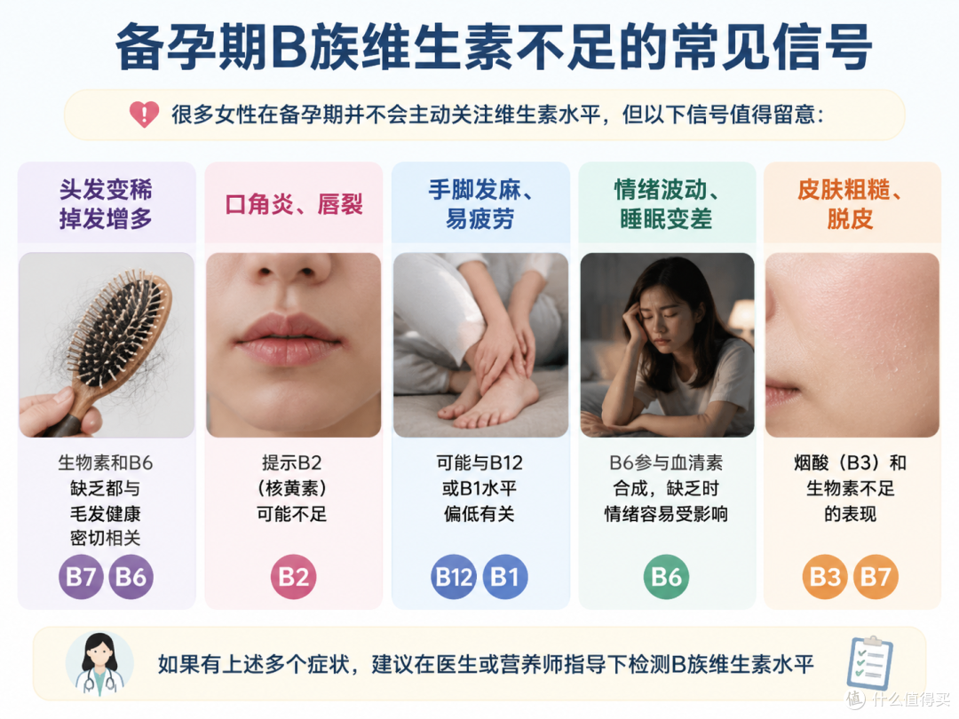 备孕期为什么要补充维生素b?