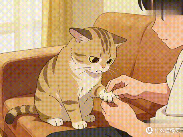 猫咪“扒拉”你的6大潜台词,别傻傻看不懂!