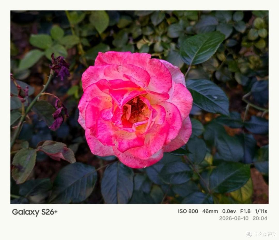 深测三星Galaxy S26+:旗舰不只有Ultra