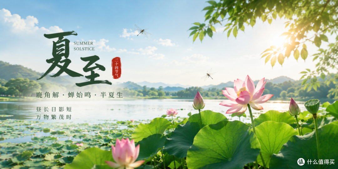 夏季家庭消毒全攻略:从厨房到卧室,一个都不能少