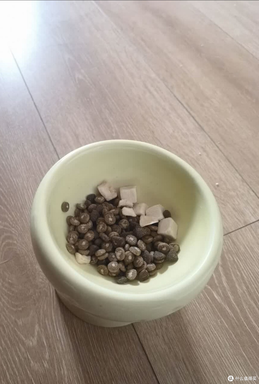 挑对酥化鲜肉粮,我家银渐层圆润又乖巧