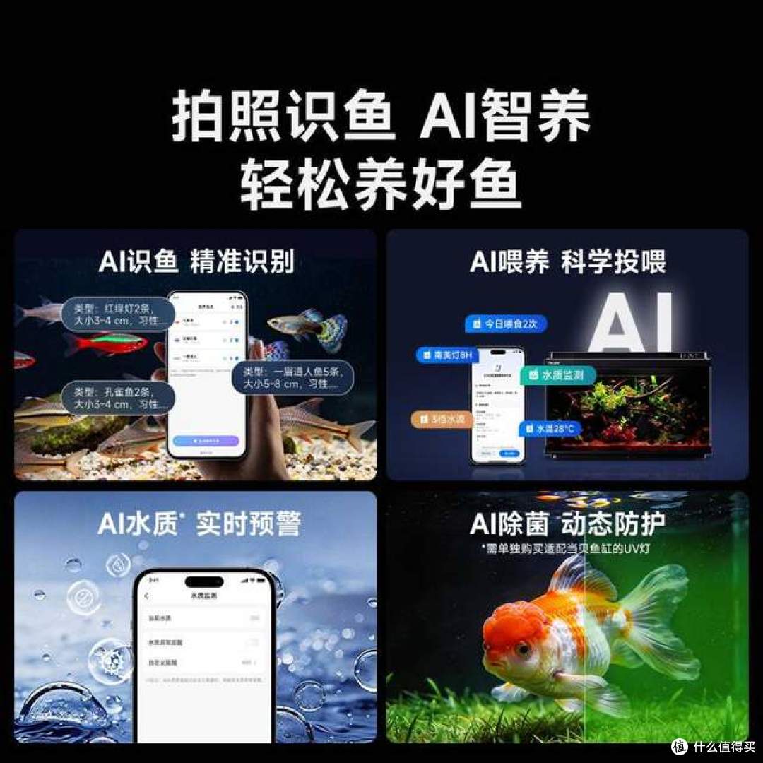 当贝鱼缸2S Ultra一个月口碑:新手的真实反馈