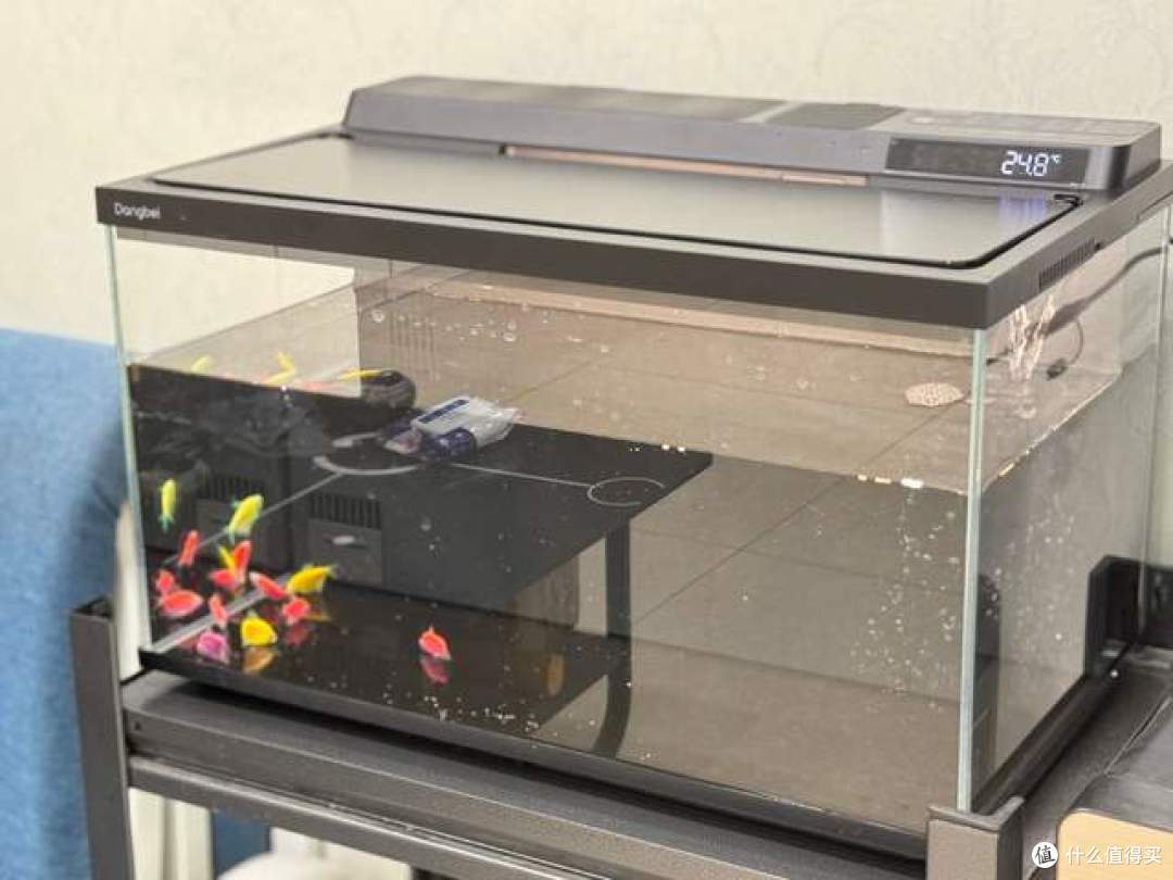 当贝鱼缸2S Ultra一个月口碑:新手的真实反馈