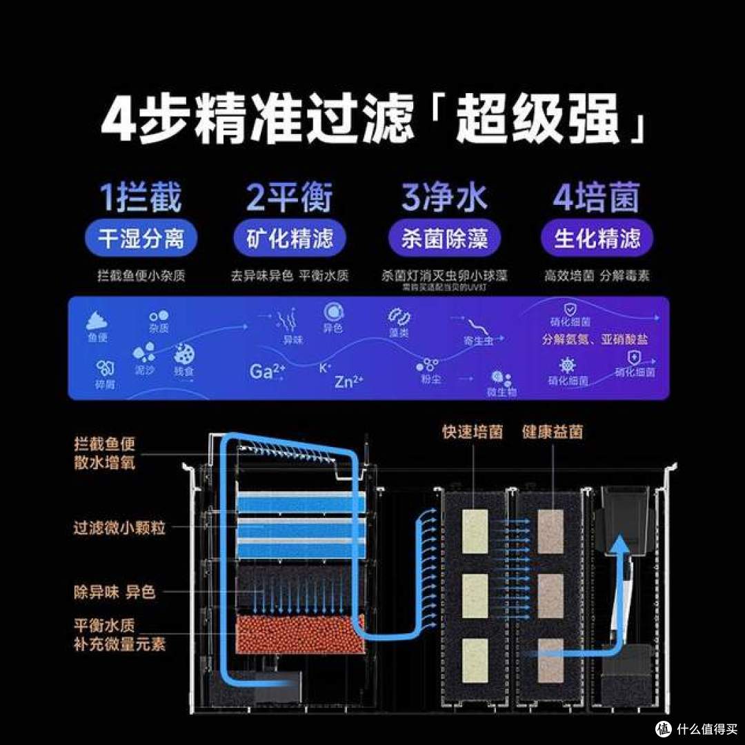 当贝鱼缸2S Ultra一个月口碑:新手的真实反馈