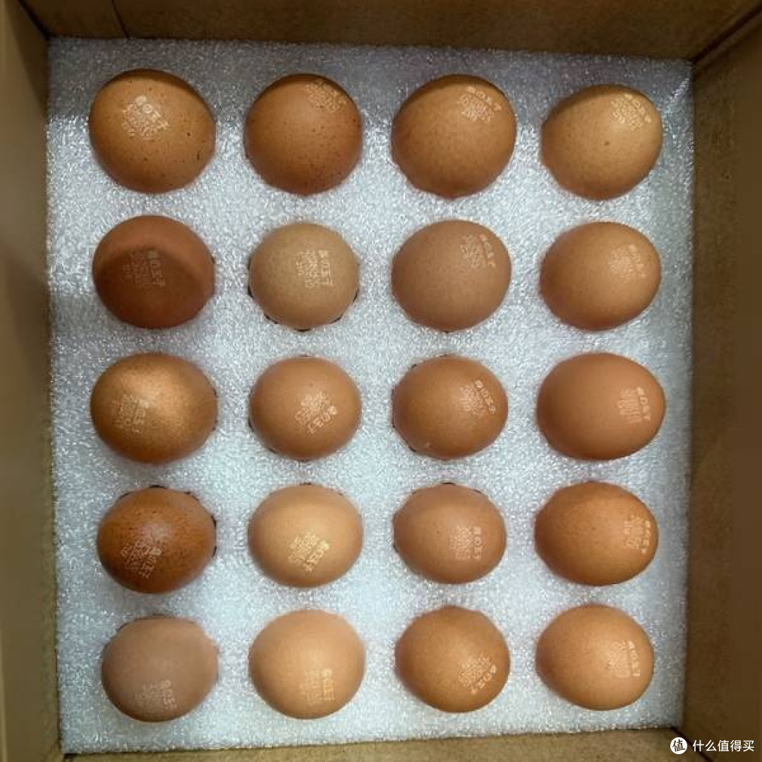 朝一可生食鸡蛋39元40枚