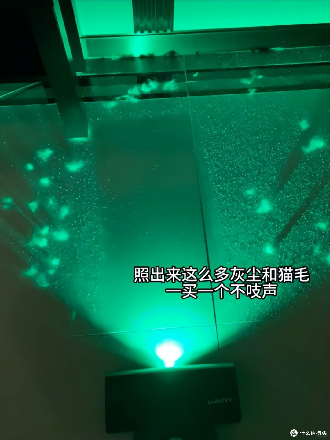 扫地机器人死角根本吸不到,养猫清洁刚需选自集尘吸尘器