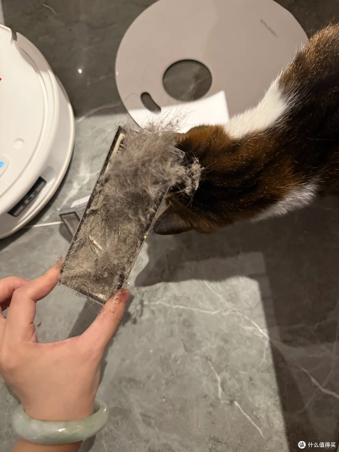 扫地机器人死角根本吸不到,养猫清洁刚需选自集尘吸尘器