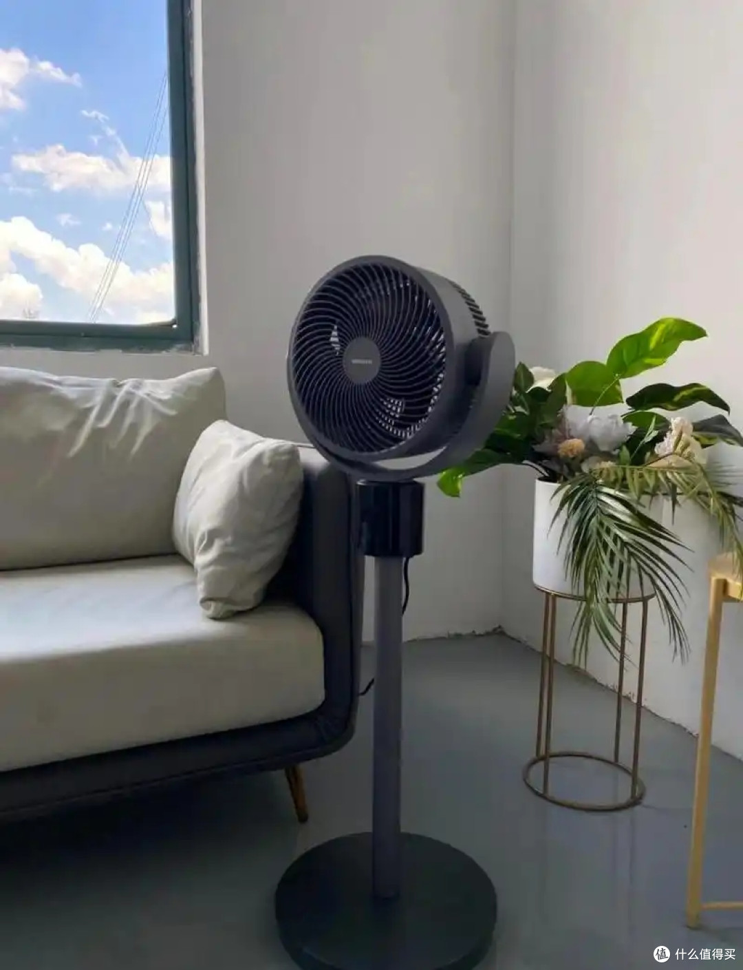 别再瞎买风扇了！循环扇vs普通扇区别在哪？看完不踩坑！