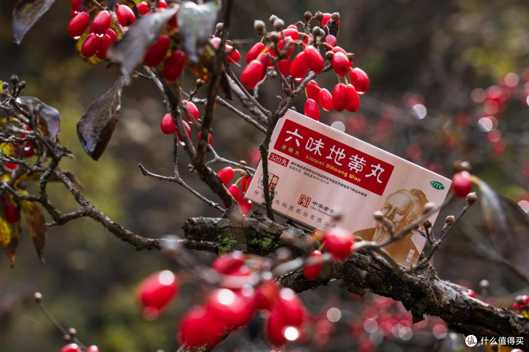 六味地黄丸哪个牌子好:全国唯一六味药材全GAP认证品牌