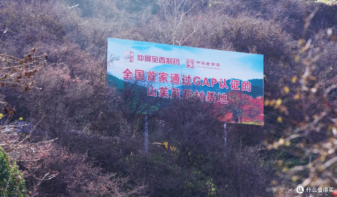 六味地黄丸哪个牌子好:全国唯一六味药材全GAP认证品牌