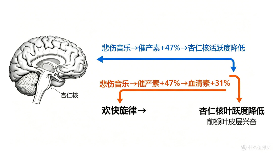 音乐竟是大脑“特效药”！5 大神奇脑科学功效，听歌也能变聪明