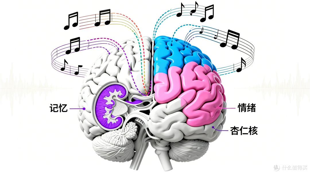 音乐竟是大脑“特效药”！5 大神奇脑科学功效，听歌也能变聪明
