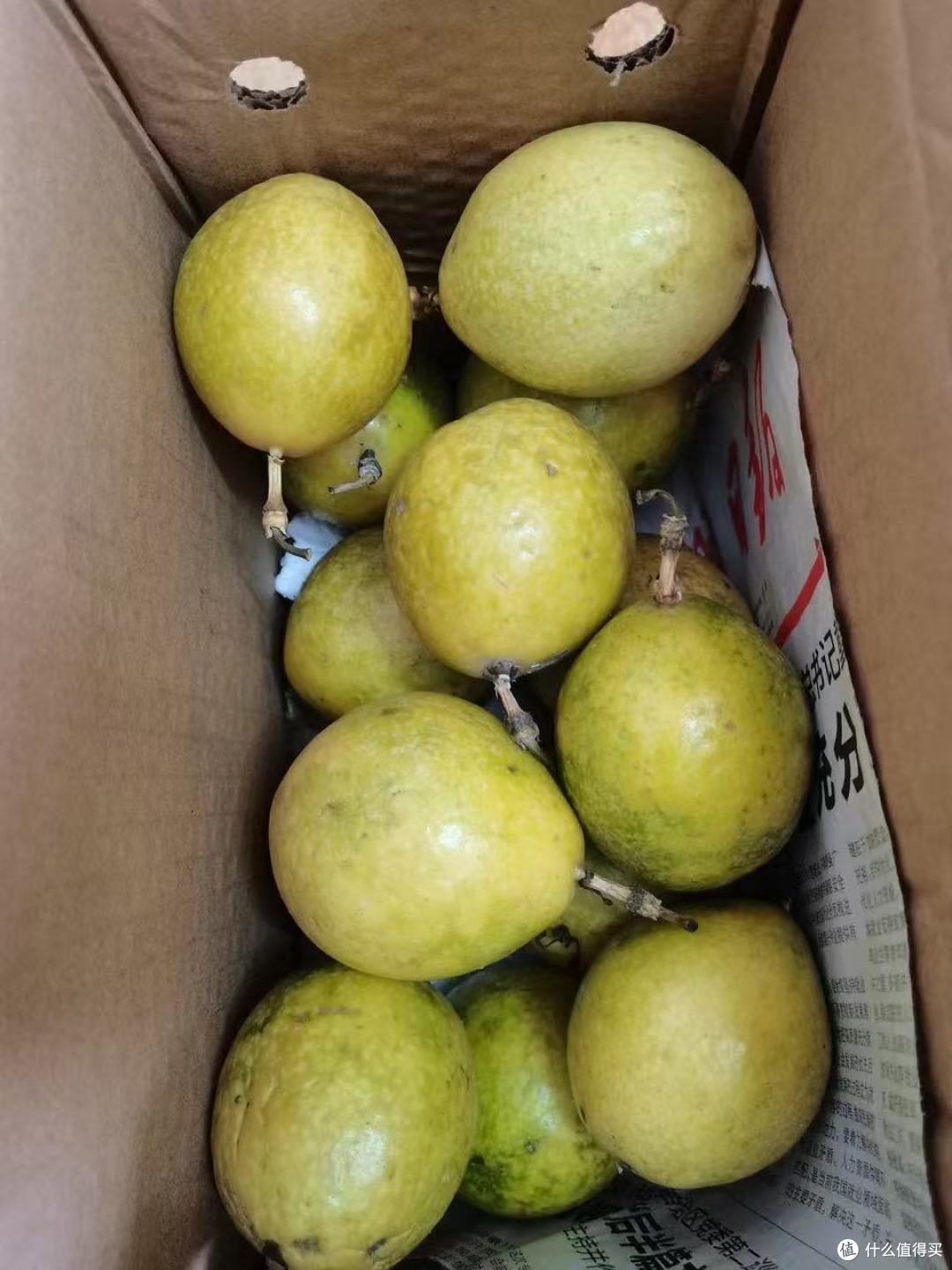 告别酸涩‼️广西钦蜜9号黄金百香果甜到抿嘴留香✨
