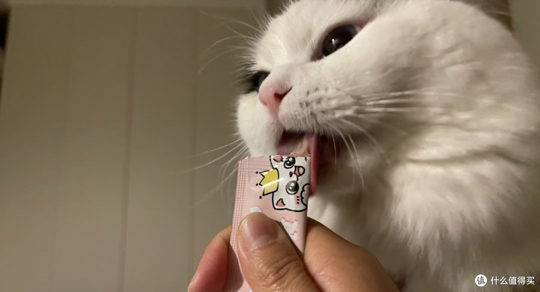 我家猫的睡前仪式感，比我精致多了🤪
