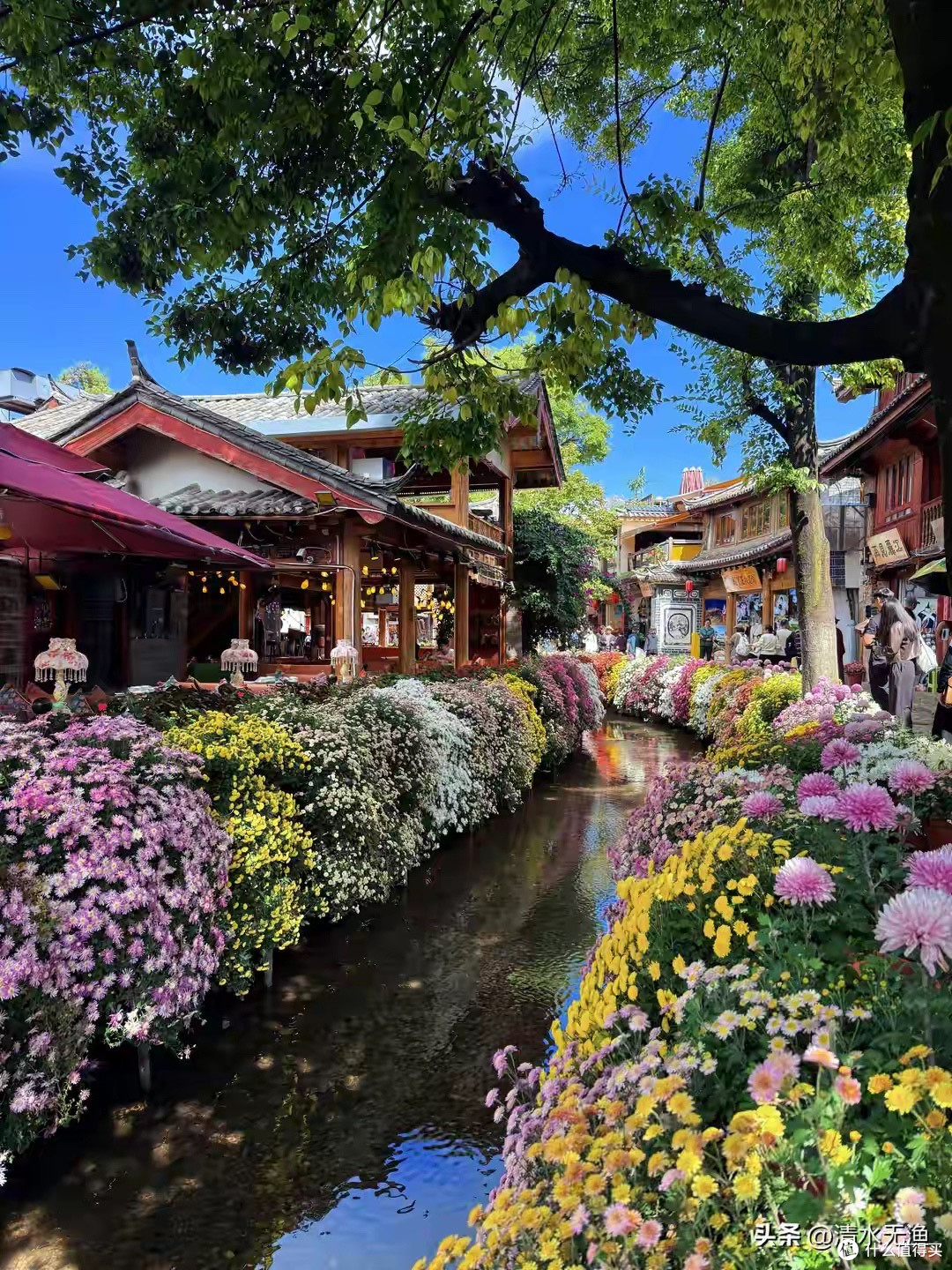 旅游到底是跟团好还是自由行好?一篇帮你算清楚,看完再出发