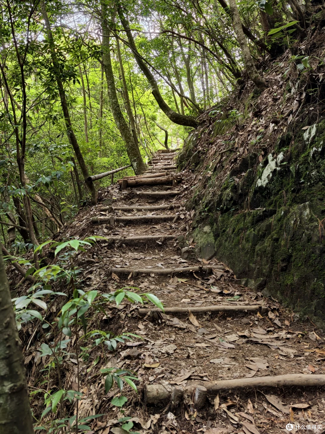 山野路书 04|徽杭古道:一条适合新手入门的江南古商道