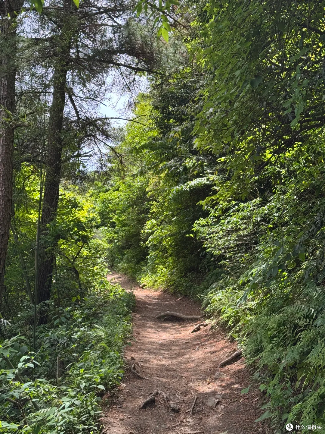 山野路书 04|徽杭古道:一条适合新手入门的江南古商道