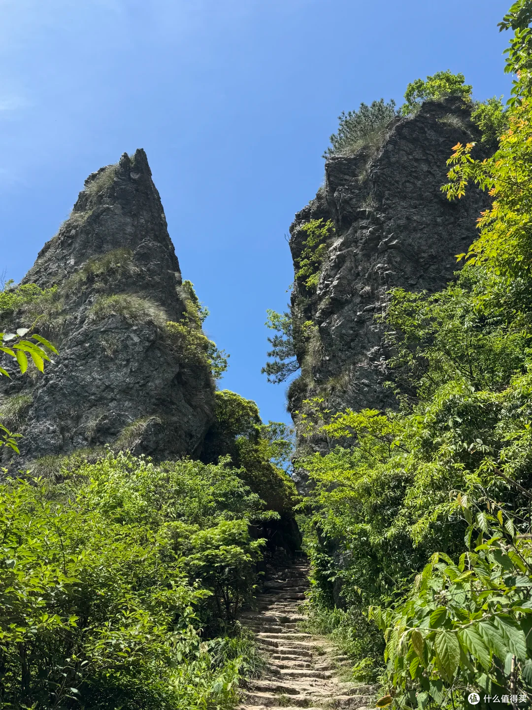 山野路书 04|徽杭古道:一条适合新手入门的江南古商道