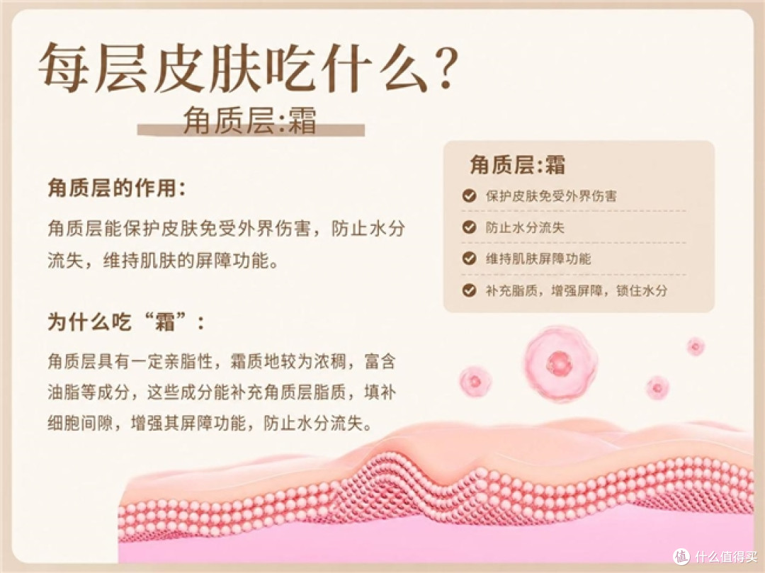 2026适配油痘肌的抗皱面霜全方位解析：清爽淡纹，控油嫩肤不踩雷