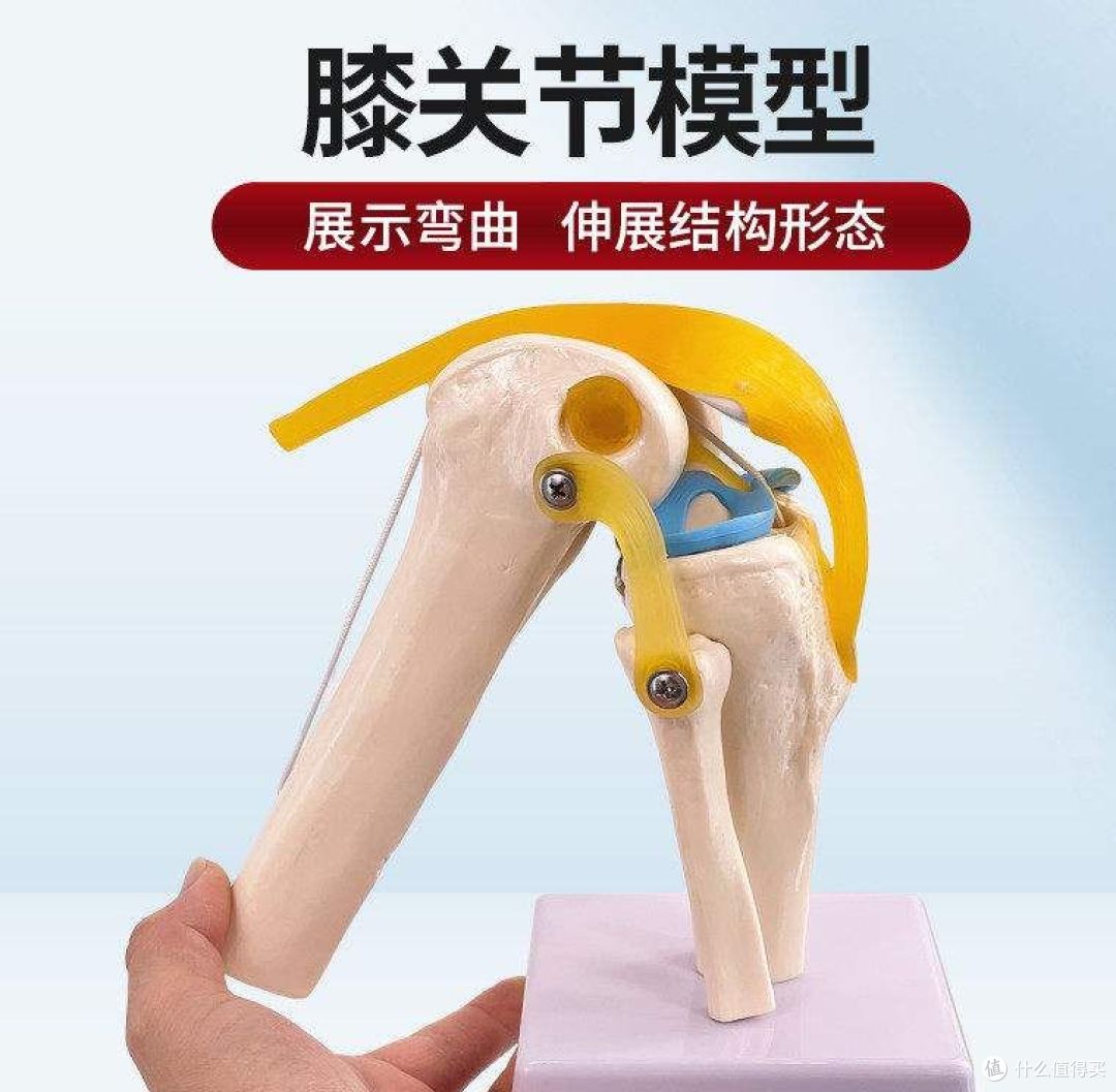 哪种运动最费膝盖?别再傻傻做这些动作了!