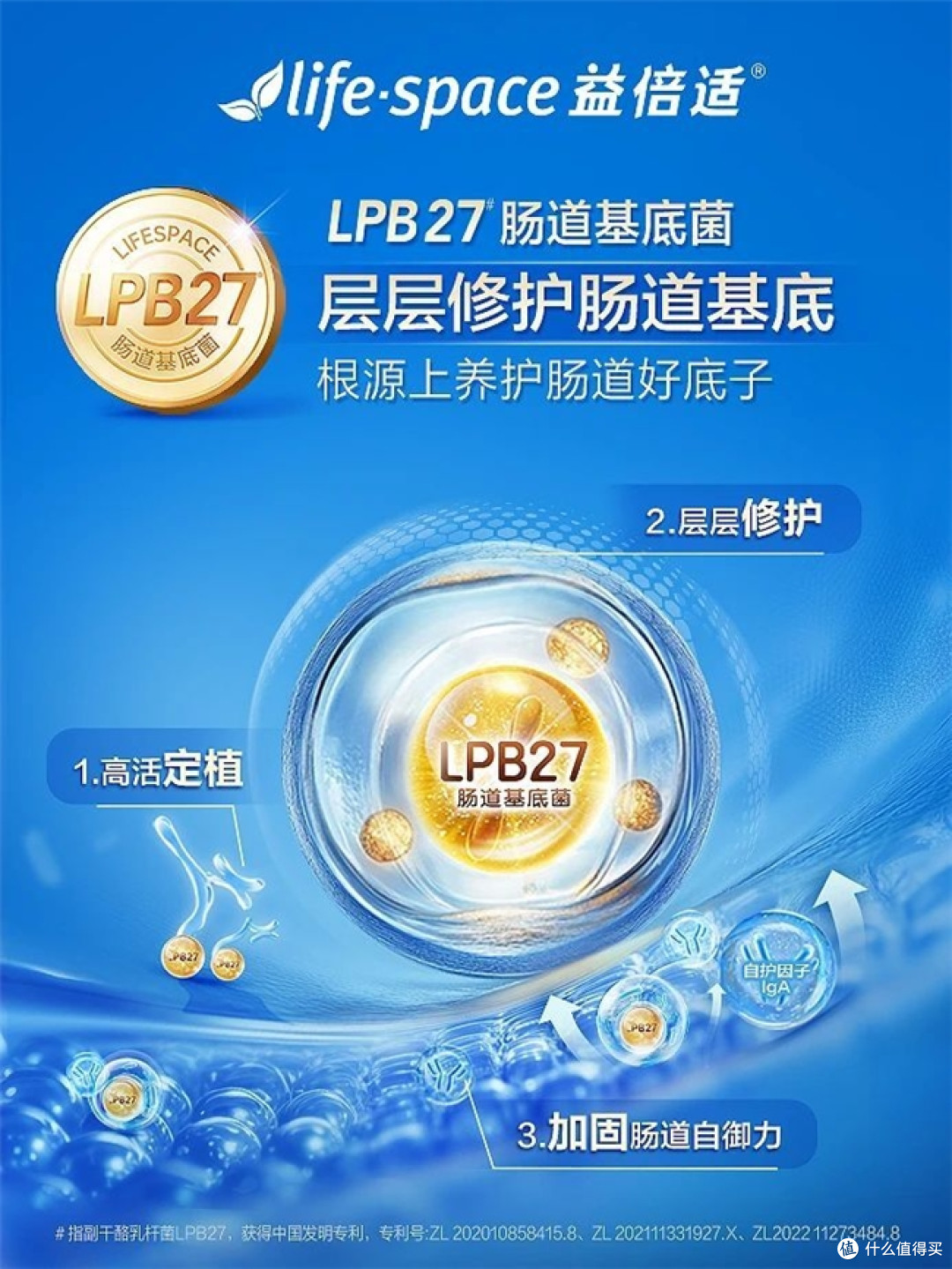 益生菌品牌怎么选？2026四大品牌实测对比