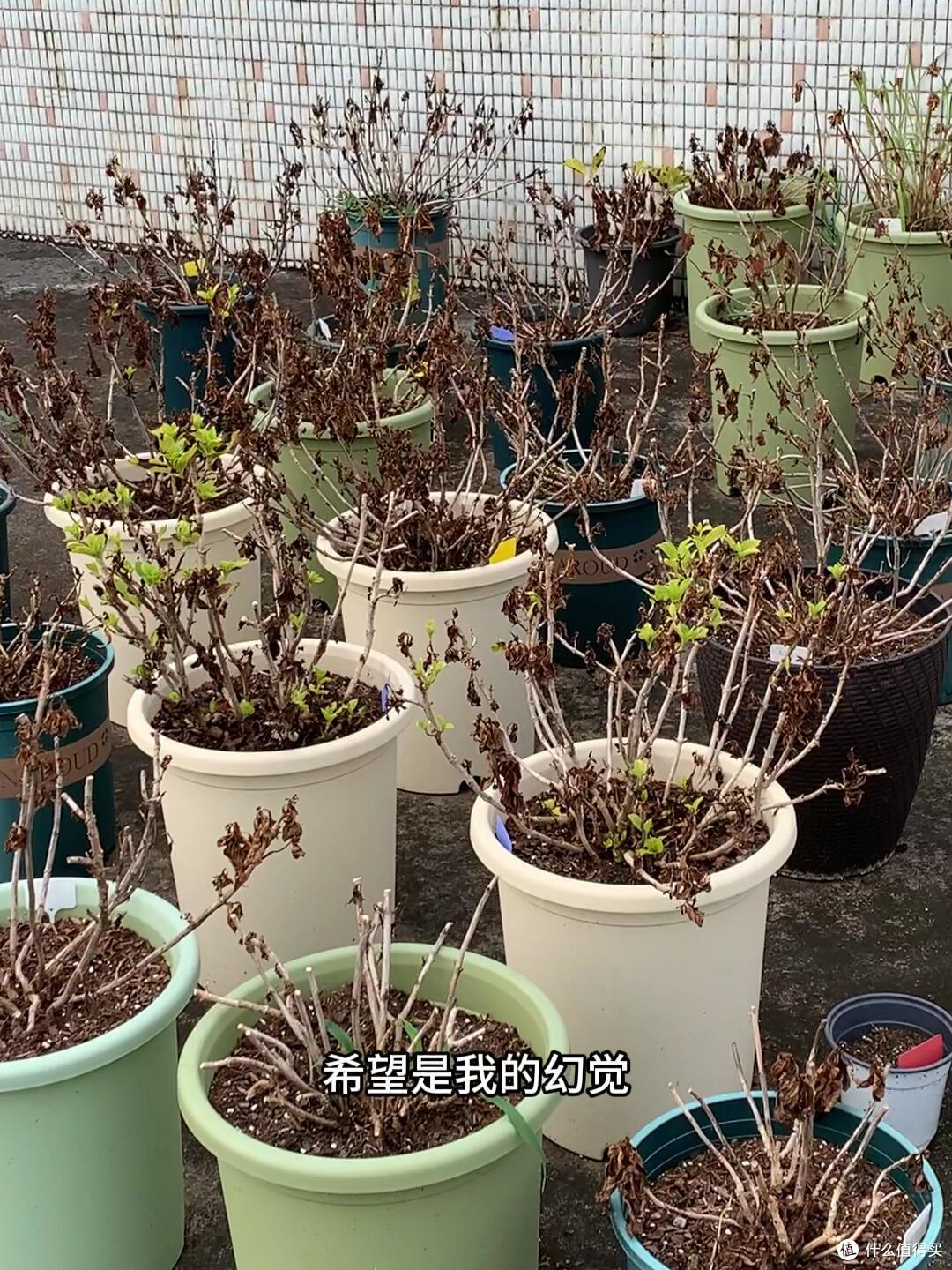 5年白扔了20万,这10种“伪需求”以后别再买了