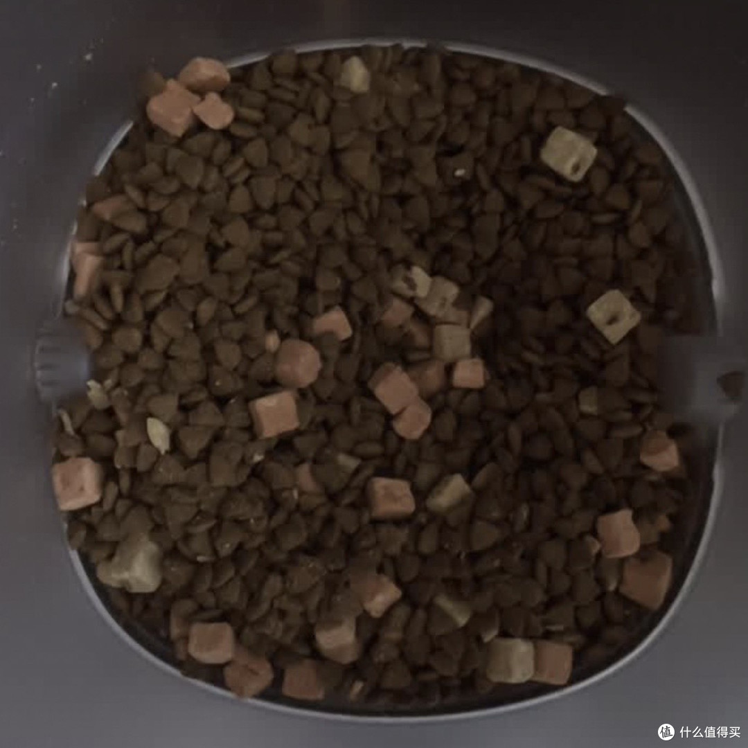 麦富迪猫粮—— 掉毛怪的逆袭,终于挖到平价宝藏粮!