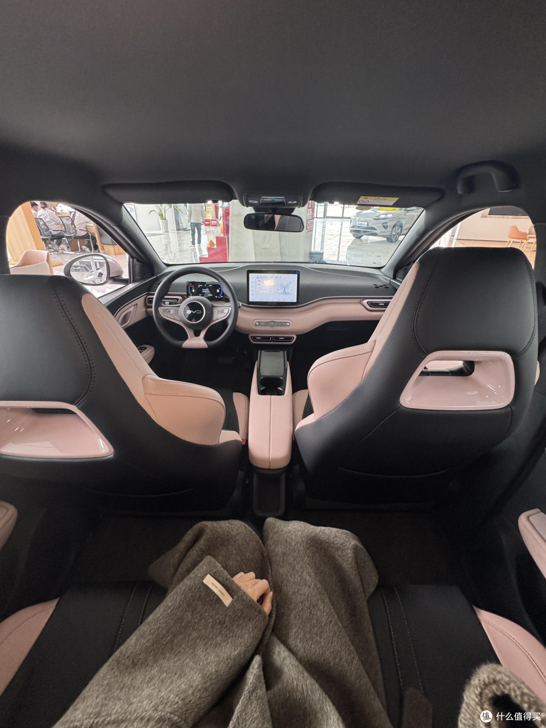 十万电车一年实测:续航与宣传不符