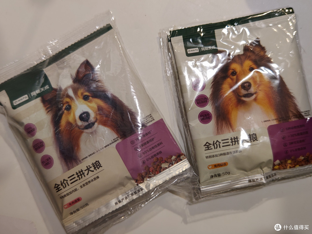 狗粮,真的不能给猫咪吃吗?