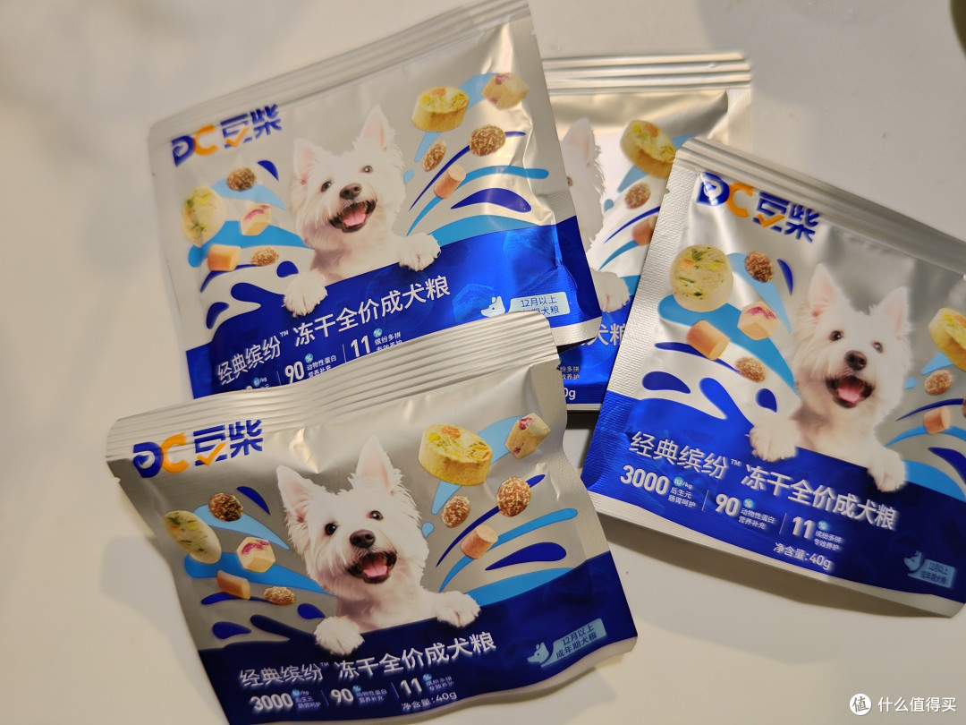 狗粮,真的不能给猫咪吃吗?