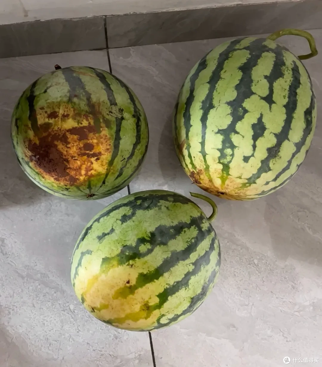 路边的「 半切瓜」，我劝你别买（不止脏）