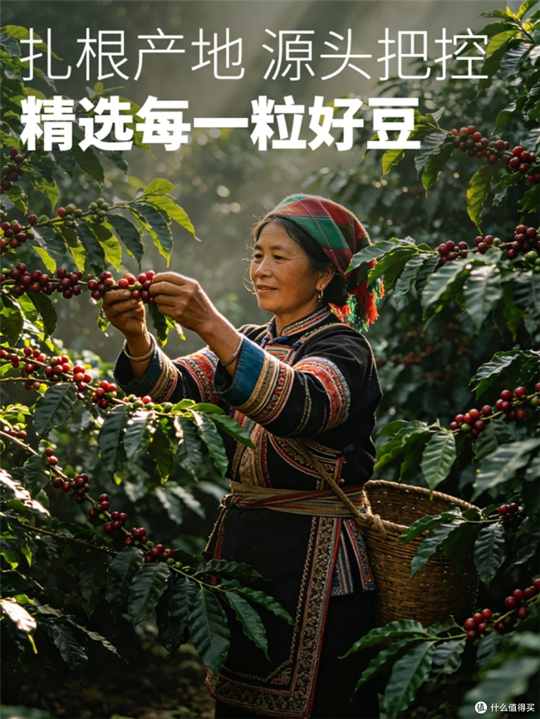 咖啡豆什么牌子好?优质咖啡豆怎么选?综合口碑与品质筛选十款