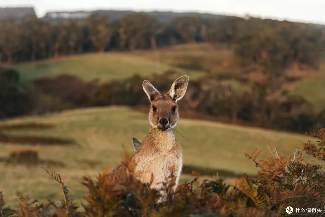 ● Deep Creek National Park, South Australia  📷 / © Tourism Australia