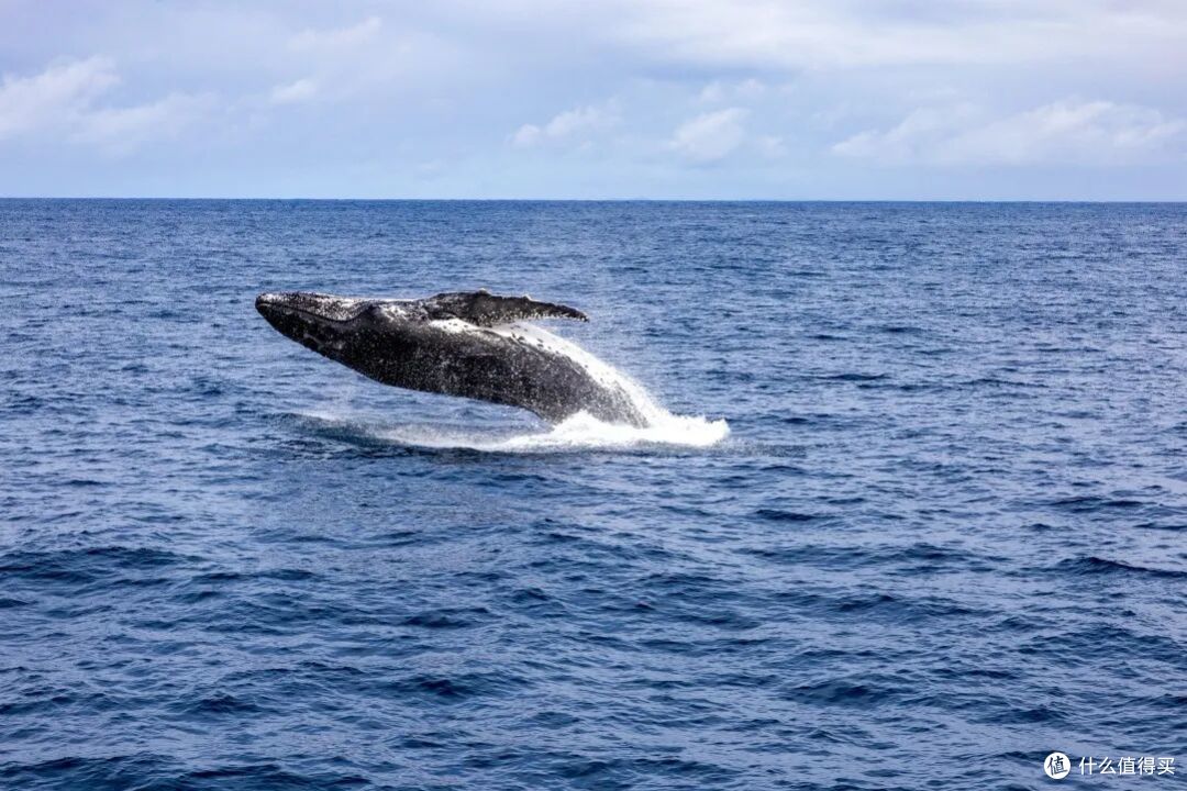 ● Moreton Bay, Queensland  📷 / © Tourism and Events Queensland