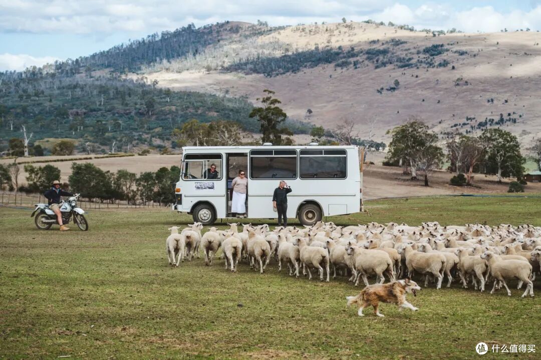 ● Curringa Farm, Hamilton, Tasmania  📷 / © Stu Gibson