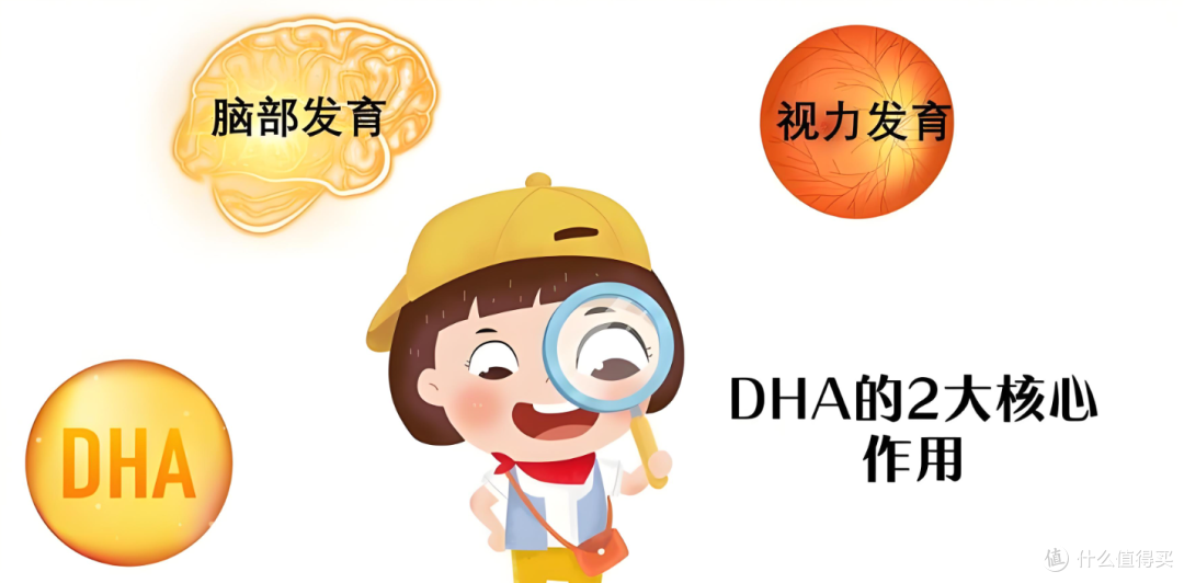 孩子挑食不吃鱼,DHA缺口怎么补?2026年蓝帽子产品选购参考