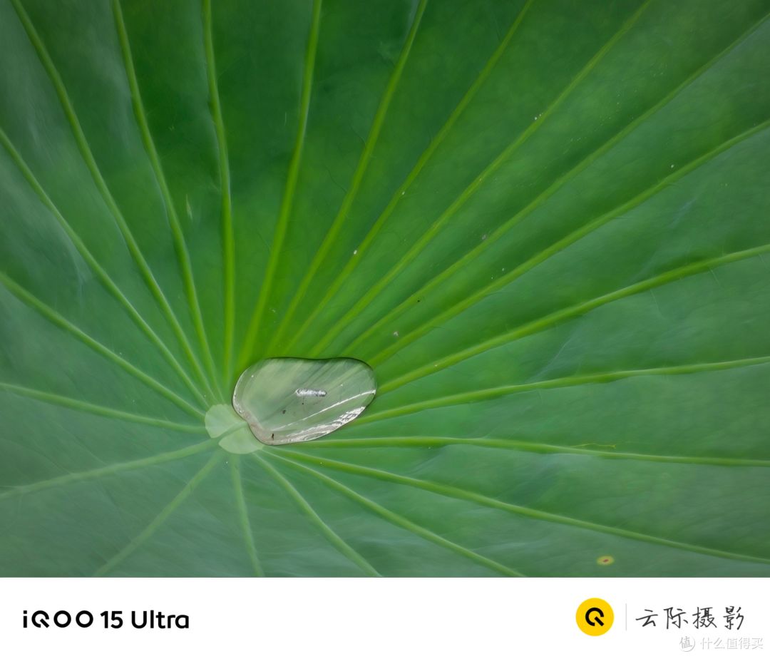出游随拍:iQOO 15 Ultra的惊喜影像记录