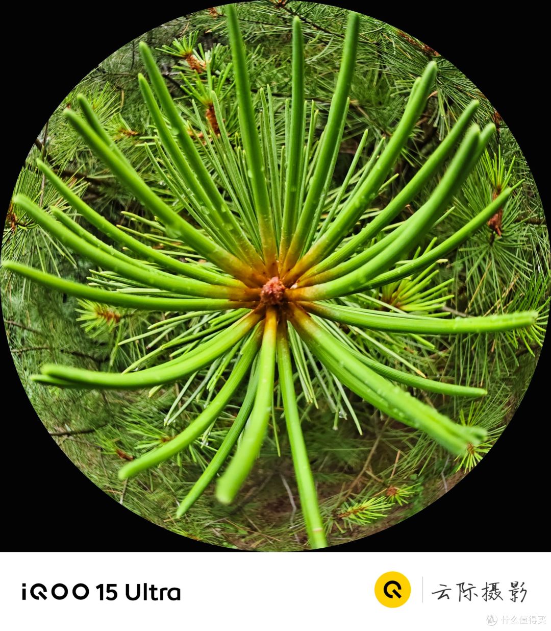 出游随拍:iQOO 15 Ultra的惊喜影像记录