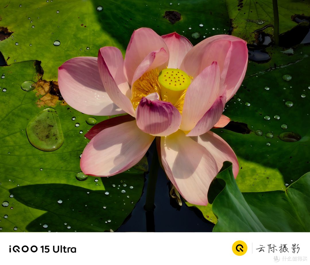 出游随拍:iQOO 15 Ultra的惊喜影像记录