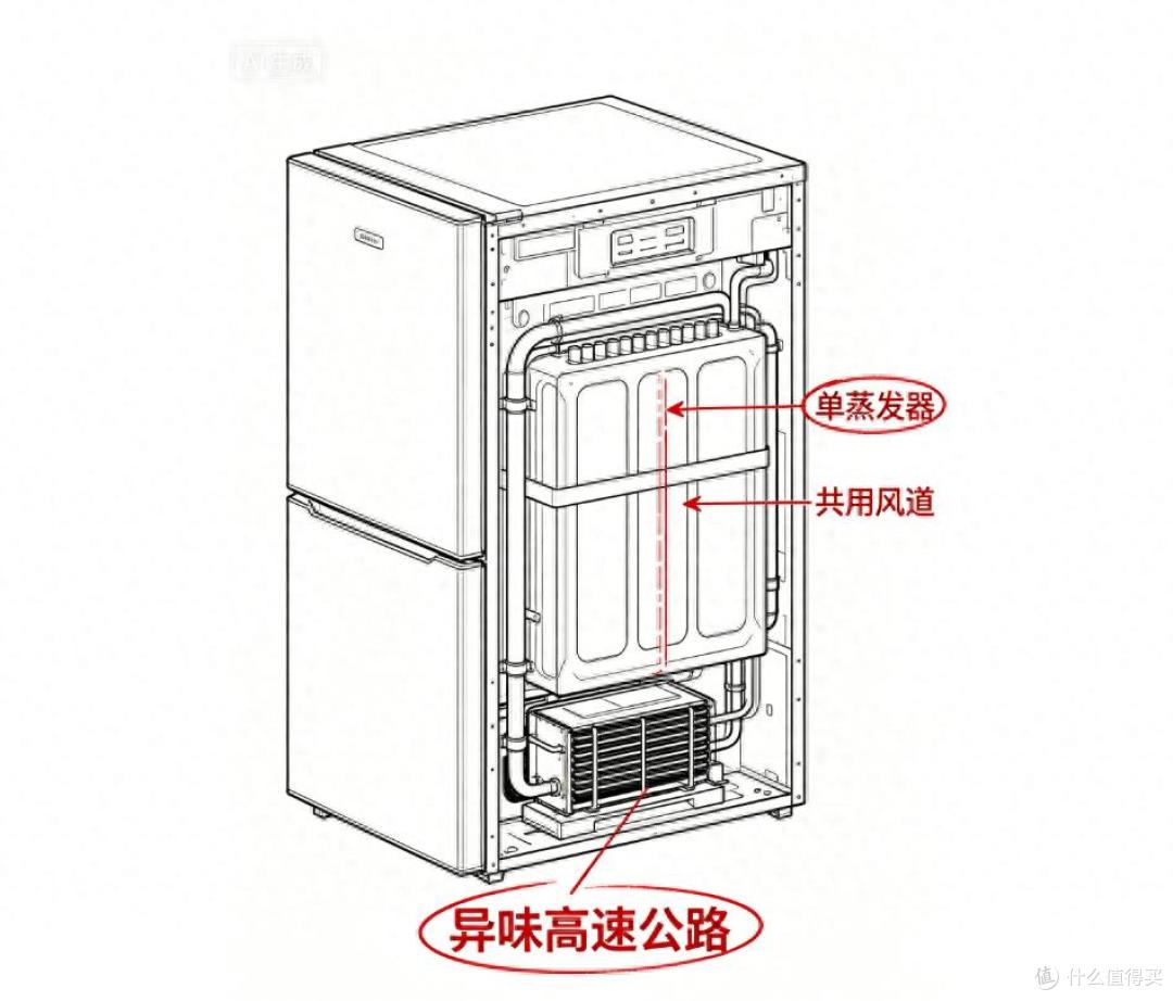 冰箱贴满“净味除菌”?别信!讲个道理都是营销话术罢了