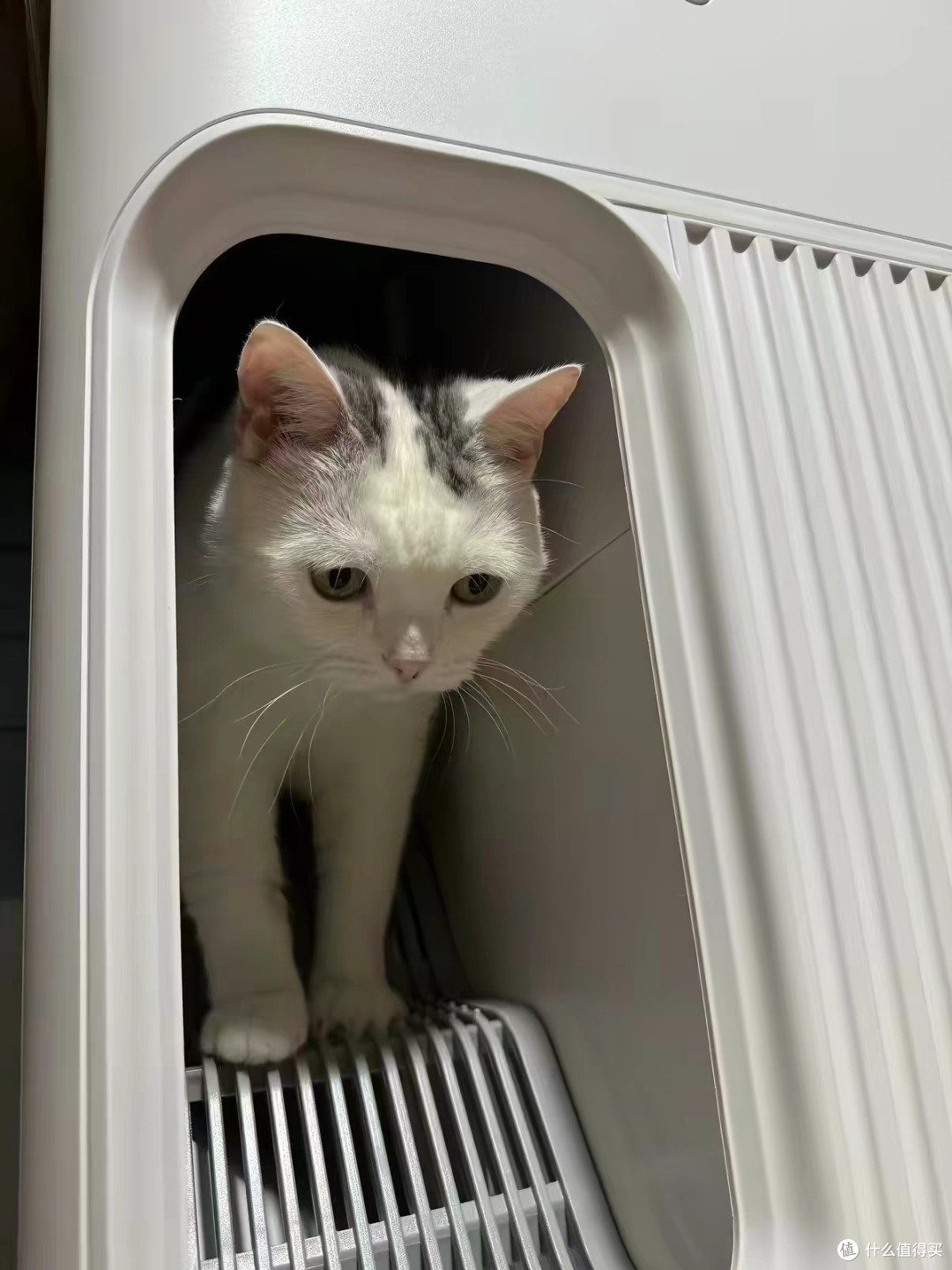 养猫懒人福音!HU293智能猫砂盆直接解放双手