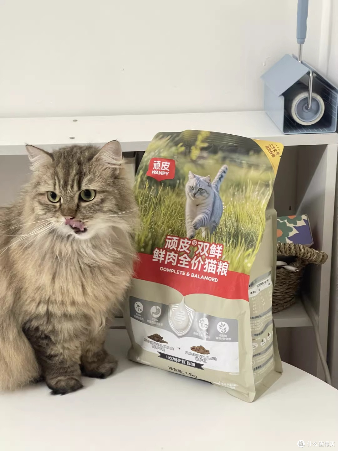 养猫三年换粮无数,这只顽皮冻干双鲜让我停下了