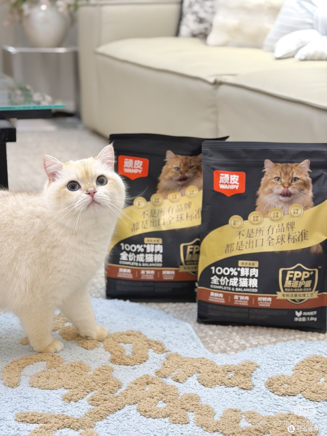 顽皮小金盾:高鲜肉护肠猫粮