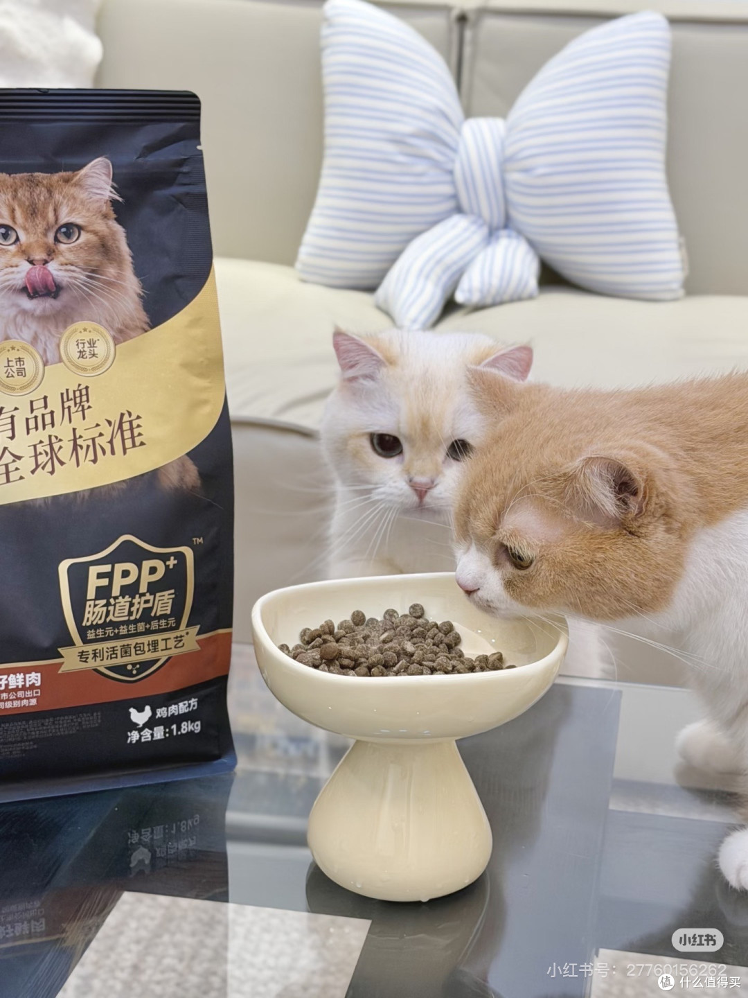 顽皮小金盾：高鲜肉护肠猫粮