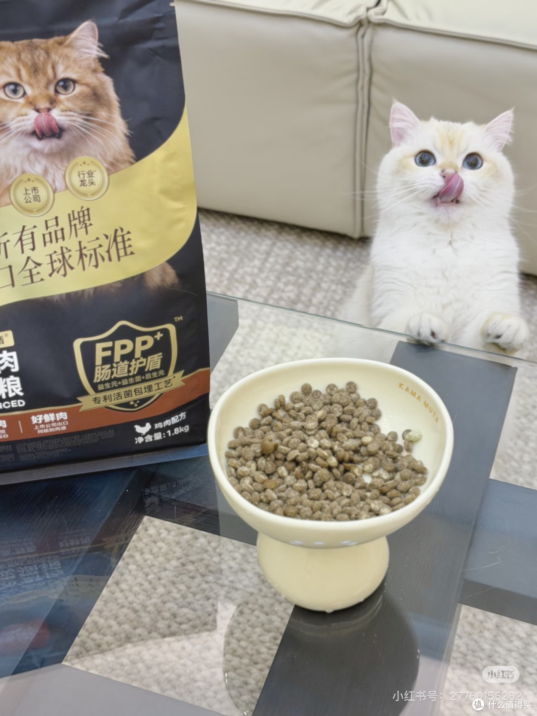 顽皮小金盾:高鲜肉护肠猫粮
